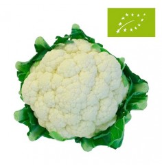 Coliflor Ecológica