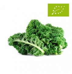 Col Crespa Kale Ecológica
