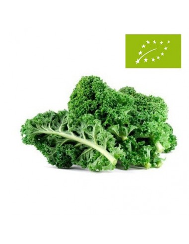 Col Crespa Kale Ecológica