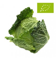 Col Rizada Ecológica