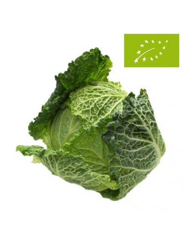 Col Rizada Ecológica