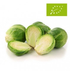 Coles de Bruselas Ecológicas