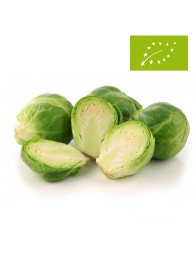 Coles de Bruselas Ecológicas