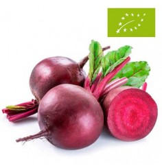 Remolacha Ecológica