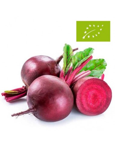 Remolacha Ecológica