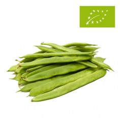 Judias Verdes Ecológicas