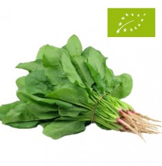 Espinacas Frescas Ecológicas