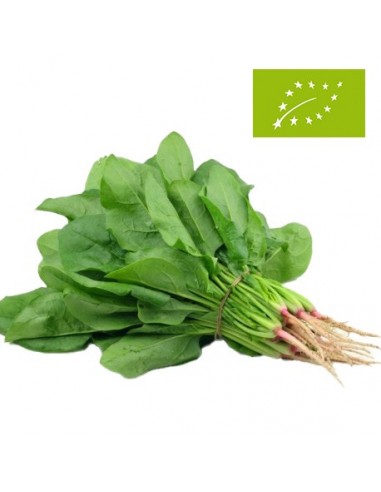 Espinacas Frescas Ecológicas