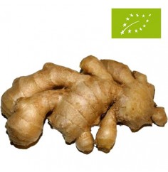 Jengibre Ecológico