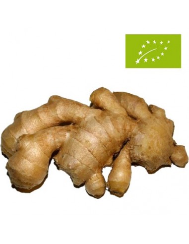 Jengibre Ecológico