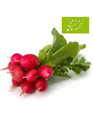 Rabanitos Ecológicos