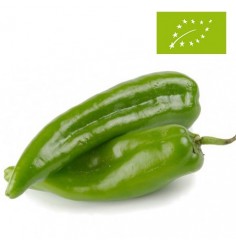 Pimiento Verde "Italiano" Ecológico