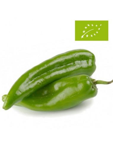 Pimiento Verde "Italiano" Ecológico