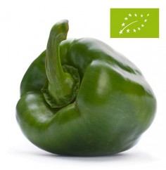 Pimiento California Verde Ecológico