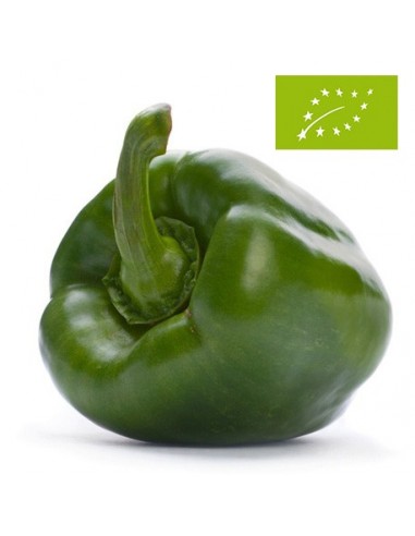 Pimiento California Verde Ecológico