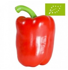 Pimiento California Rojo Ecológico