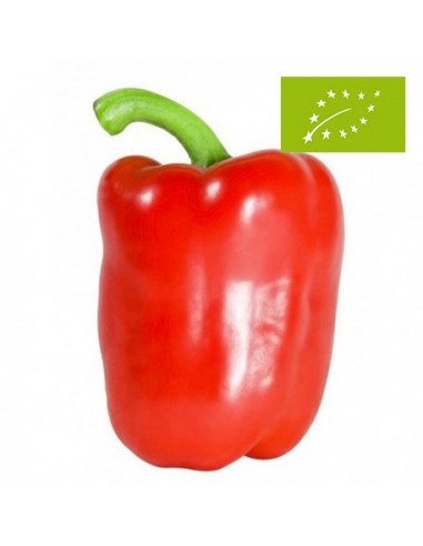 Pimiento California Rojo Ecológico