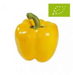Pimiento California Amarillo Ecológico