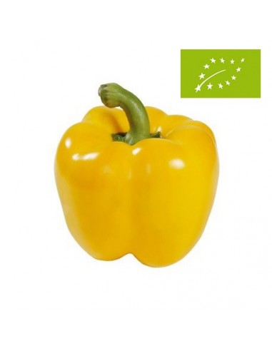 Pimiento California Amarillo Ecológico