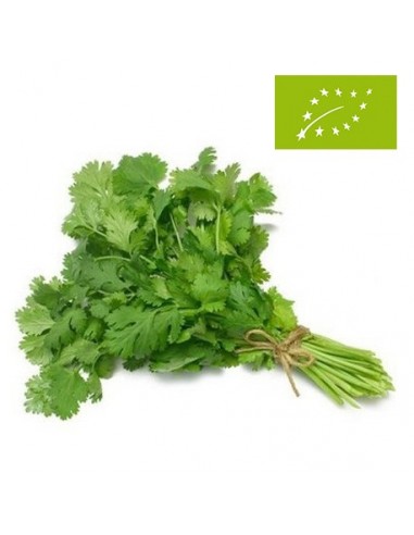 Perejil Fresco Ecológico