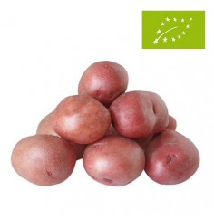 Patata Roja Ecológica