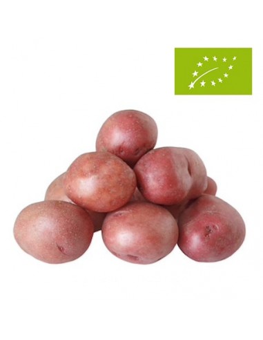 Patata Roja Ecológica