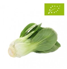Pak Choi Ecológico