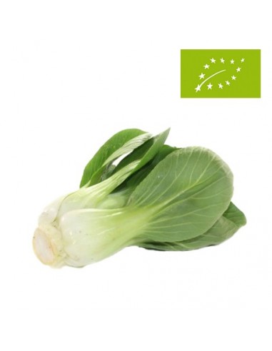 Pak Choi Ecológico