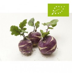 Colirrabano Rojo Ecológico
