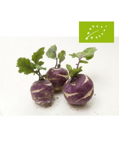 Colirrabano Rojo Ecológico