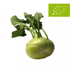 Colirrabano Ecológico