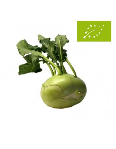 Colirrabano Ecológico