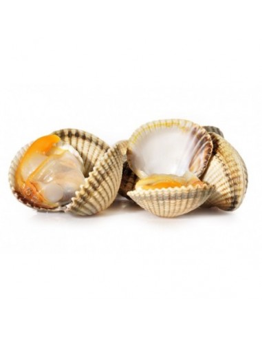 Berberecho Gordo de Huelva, Pack 1 Kg