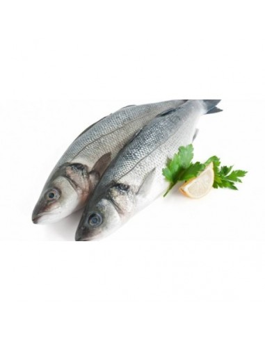 Merluza Volanta Gorda Nacional, Pieza de 3 Kgs Aprox "Entera y Limpia"