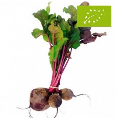 Remolacha Roja, el Manojo...