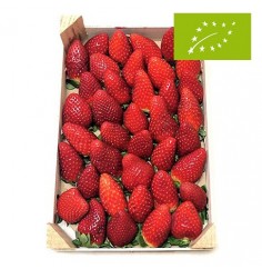 Fresón, Caja de 1 Kg (Huelva)