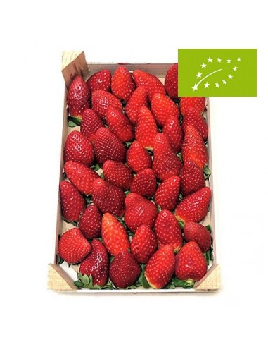 Fresón, Caja de 1 Kg (Huelva)