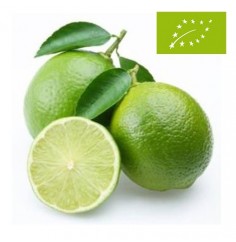 Limas, el Kg (Andalucía)