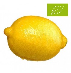 Limón, el Kg (Valencia)