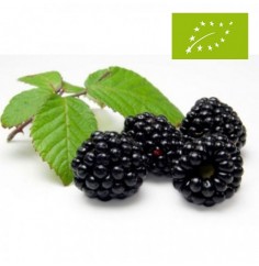 Moras, Bandeja 125 Gr...