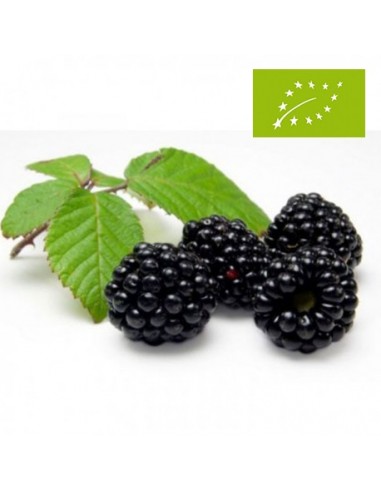 Moras, Bandeja 125 Gr (Andalucía)