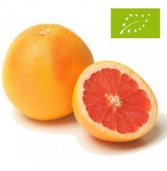 Pomelos, el Kg (Valencia)