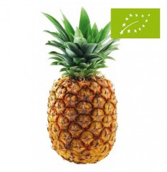 Piña Tropical, el Kg (Costa...