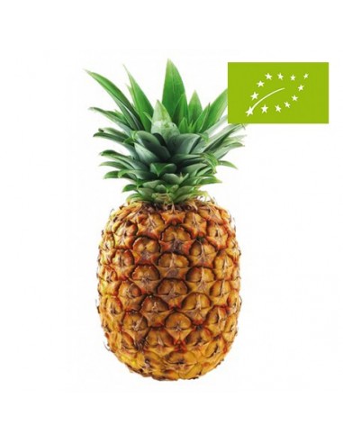 Piña Tropical, el Kg (Costa Rica)