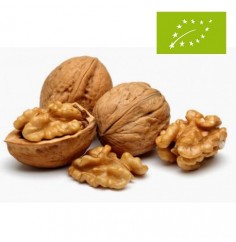 Nueces, el Kg (Francia)