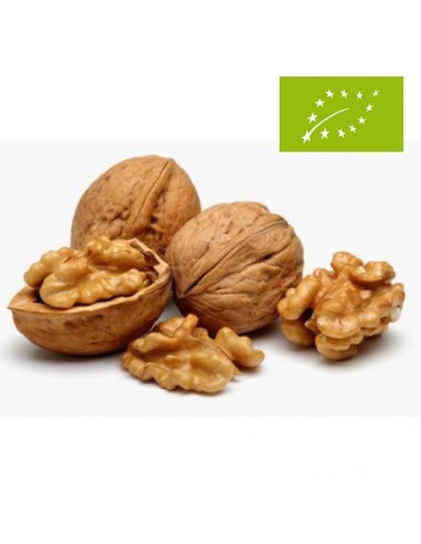 Nueces, el Kg (Francia)