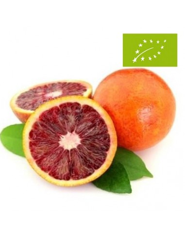 Naranjas Sanguinas, el Kg (Andalucía)