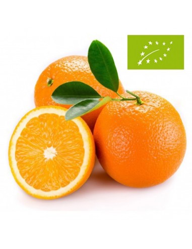 Naranjas de Mesa, el Kg (Valencia)