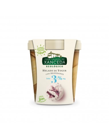 Helado de Yogur Ecológico con Arándanos, Tarrina 500 Ml (Casa Grande de Xanceda)