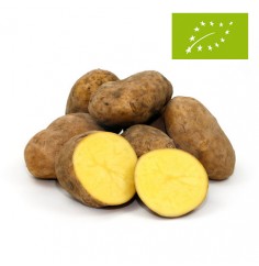 Patata "Agria", el Kg (Castilla y León)